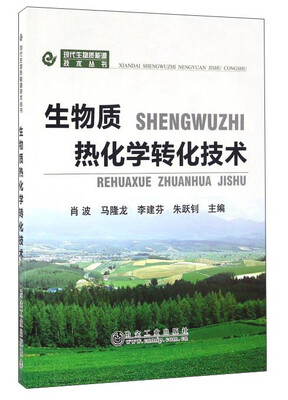 

生物质热化学转化技术