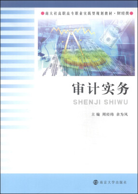 

审计实务/南大社高职高专职业实践型规划教材·财经类