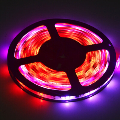 

Waterproof ic2811 Led Strip Light 5M Roll Full Color Changing Lights