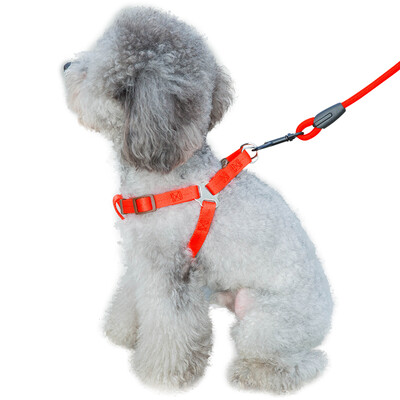 

HIPIDOG dog rope dog chain dog ring dog belt p chain cat rope cat chain pet cat dog supplies small dog dog collar strap tracti