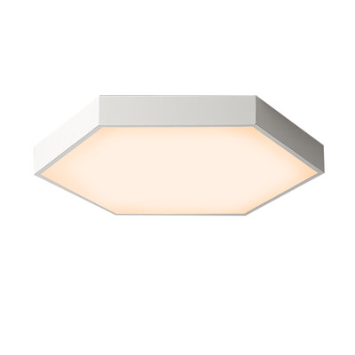 

JX277- 18W - WW Warm White Ceiling Lamp AC 220V
