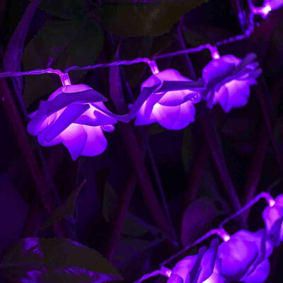 

33FT New Christmas Day Decoration Supplies LED Lights Rose String Light
