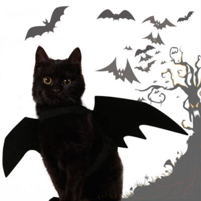 

Pets Dog Cat Black Bat Wings Cosplay Wings Costume Party Halloween Fancy Dress