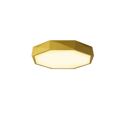 

JX285 - 24W - WJ Promise Dimming Ceiling Lamp AC 220V