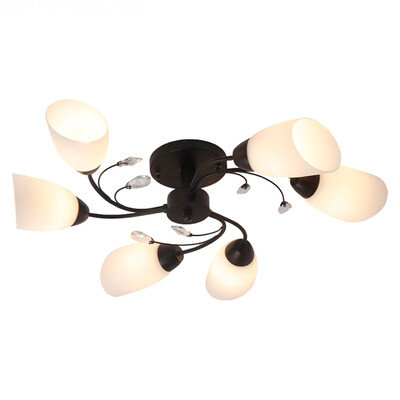 

Ceiling lamp ZM1711-1012