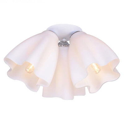 

Ceiling lamp ZM1711-1054