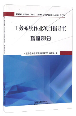 

工务系统作业项目指导书桥隧部分