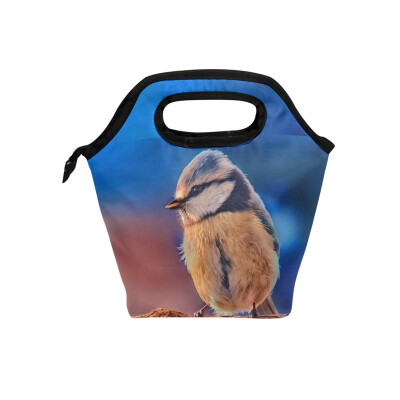 

Insulated Lunch Tote Bag Small Bird Travel Picnic Lunch Handbags Portable Zipper Lunch Bag Box