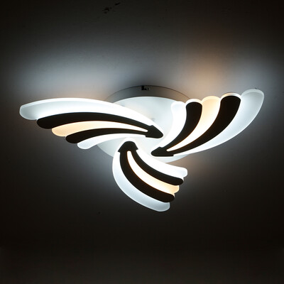 

PJ310 - 30W Warm Cold White Light Ceiling Lamp AC 220V