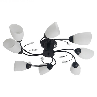

Ceiling lamp ZM1711-1012