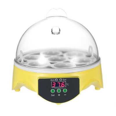 

7 Eggs Mini Digital Egg Incubator Hatcher Transparent Eggs Hatching Machine Automatic Temperature Control for Chicken Duck Bird Eg