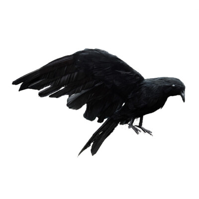 

UpperX Halloween prop feathers Crow bird large 25x40cm spreading wings Black Crow toy model toyPerformance prop