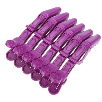 

6Pcs Sectioning Clips Clamps Hairdressing Salon Hair Grip Crocodile DIY Accessories Hairpins Plastic