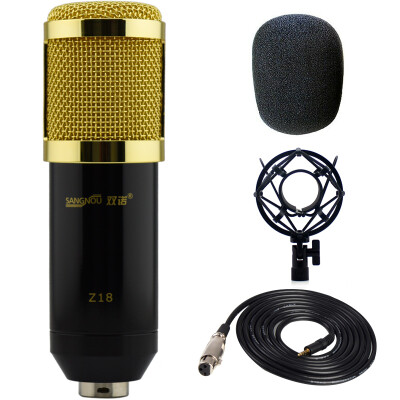 

Double promise Z18 condenser microphone recording microphone computer network K song YY voice microphone recording equipment studio dedicated black