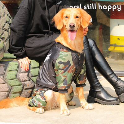 

Huayuan favor hoopet dog thick cotton coat large dog Husky gold hair dog four feet black 5XL