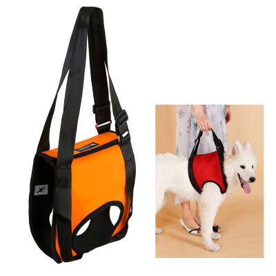 

Dog Lift Harness Front Leg Lifting Canine Aid Assist Sling for Medium Dogs Disabled Injured Elderly Recovery Training