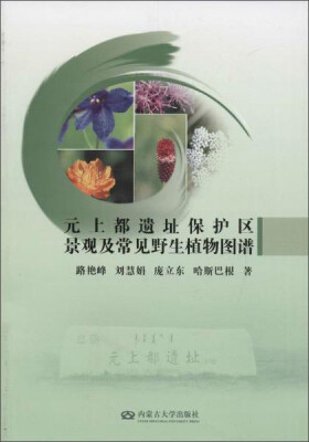 

内蒙古大学出版社有限责任公司 元上都遗址保护区景观及常见野生植物图谱