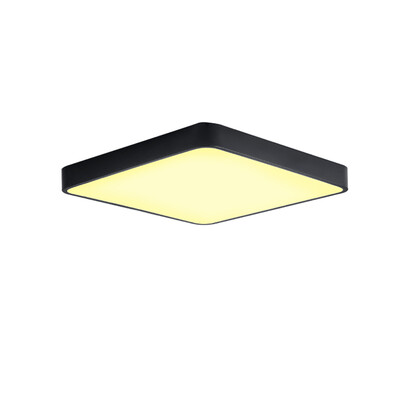 

JX231 - 48W - WJ Promise Dimming Ceiling Lamp AC 220V