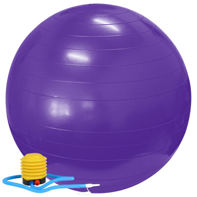 

Lover ENPEX 65cm Yoga Ball Thicker Explosion-proof Fitness Ball Purple