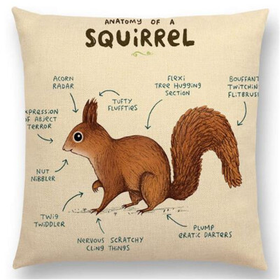 

Funny Animals Anatomy Flamingo Fox Dachshund Giraffe Hedgehog Lion Pug Squirrel Cushion Cover Sofa Throw Pillow Case