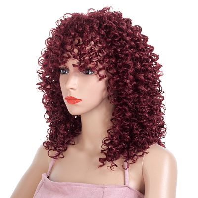 

Kanekalon Wigs Afro Kinky Curly Wig Natural Black Burg Synthetic Wigs for Black Women African Hairstyle 18inch