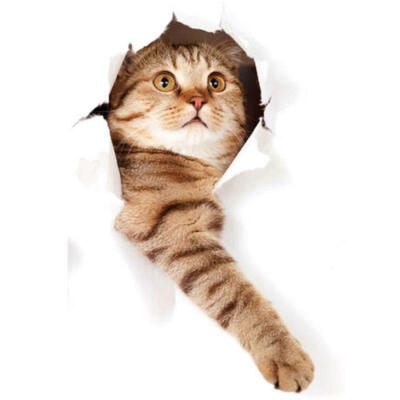 

3D Cat Wall Sticker Mural Vinyl Decal Art Home Room Decor Wallpaper Removable