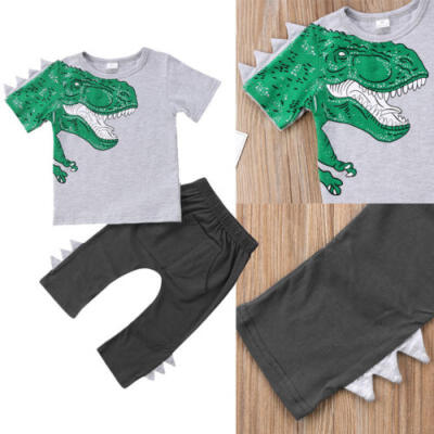 

Kids Toddler Boy Girl Clothes Dinosaur Tops T-shirt Pants Trousers Outfits Set