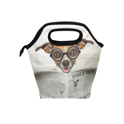 

Insulated Lunch Tote Bag Paper Dog Travel Picnic Lunch Handbags Portable Zipper Lunch Bag Box