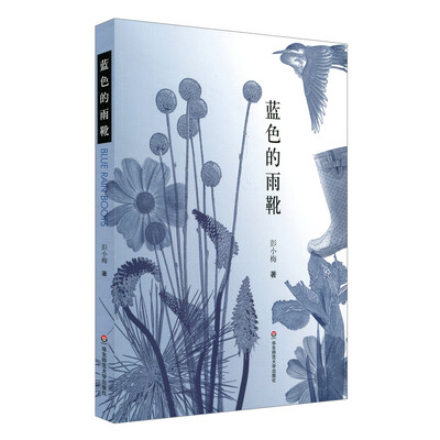 

蓝色的雨靴
