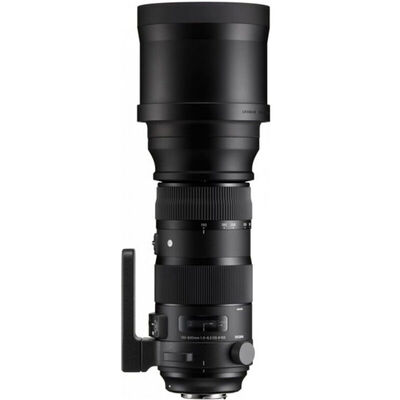 

(SIGMA) 150-600 мм F5-6.3 DG OS HSM | Спорт Полнокадровый ультра-телефото зум-объектив стрелять птиц стрелять лотосом (Canon байонетный объектив)