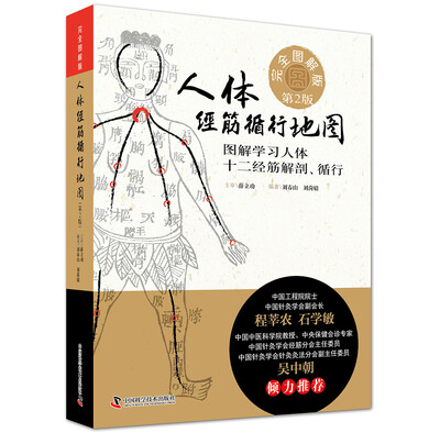 

人体经筋循行地图