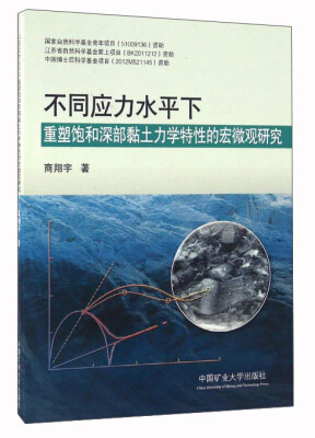 

不同应力水平下重塑饱和深部黏土力学特性的宏微观研究