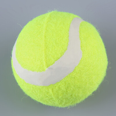 

New Pet Dog Tennis Ball Petsport Thrower Chucker Launcher Play Toy