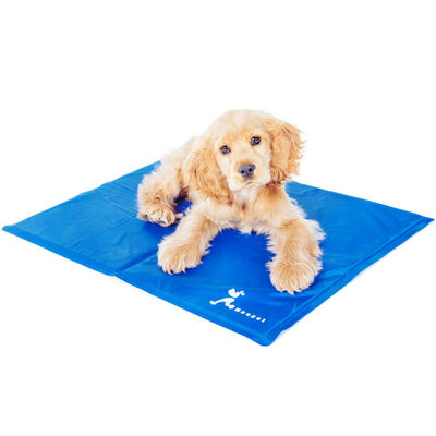 

Huapu Pet (hoopet) Dog Liang Xi mat summer teddy kennel cat pet ice mat