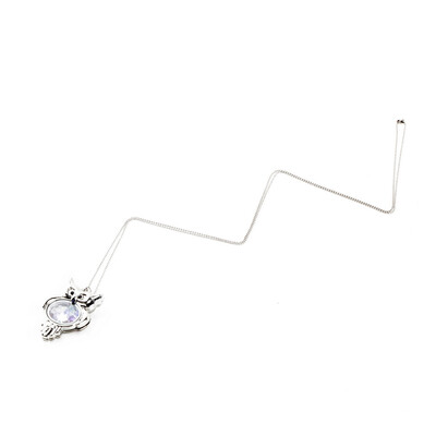 

Cute Floating Glass Crystal Birthstone Living Memory Locket Necklace Charm