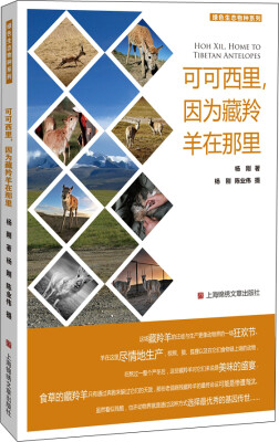 

可可西里，因为藏羚羊在那里