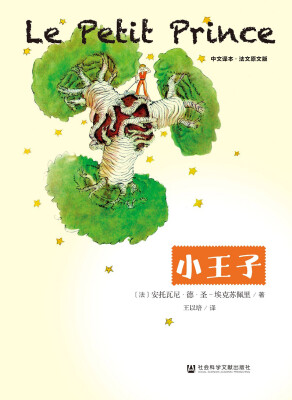 

小王子