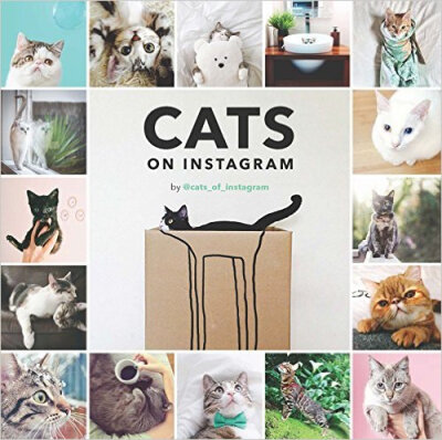 

Cats on Instagram