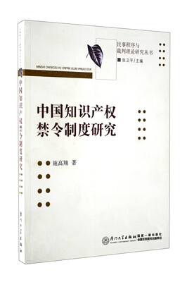 

民事程序与裁判理论研究丛书：中国知识产权禁令制度研究