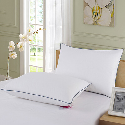 

SHEONE duck down feather velvet pillow 4874cm
