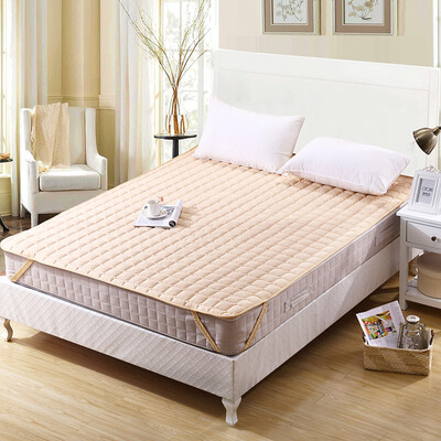 

Ivy Bedding Home Textiles Four Seasons Washable Bed Mattress Mattress Mat Cushion 12m Tatami