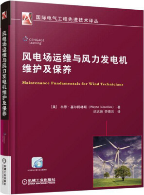 

风电场运维与风力发电机维护及保养