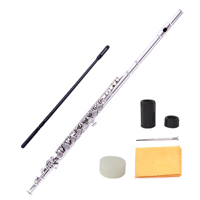 

[Jingdong Supermarket] Acacia Bird (LOVEBIRD) 16-hole closed-cell C tune flute entry flute beginner grading performance Western instrument XS4001