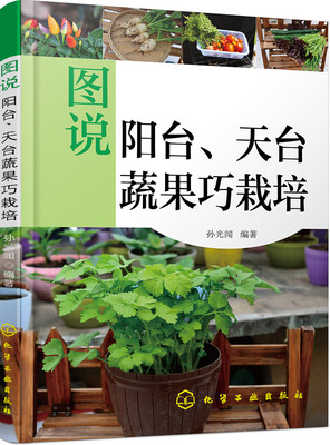 

图说阳台、天台蔬果巧栽培
