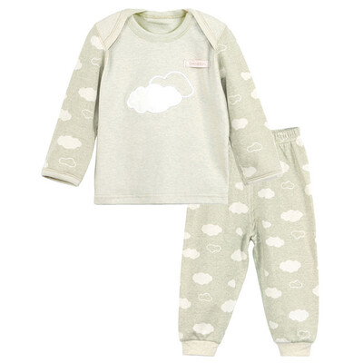 

Xin Song baby tattoo color cotton envelope collar suit newborn spring&autumn color cotton underwear shirt pants suit natural green C297D66