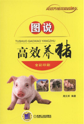 

图说高效养猪