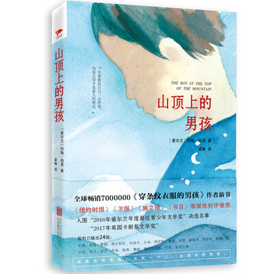 

山顶上的男孩