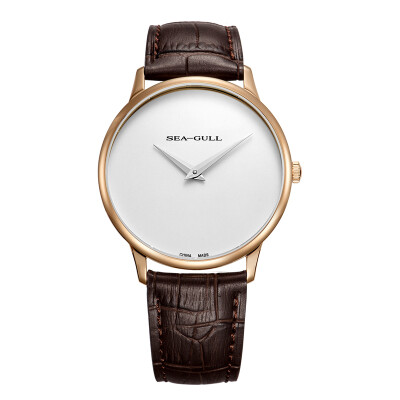 

Seagull (SeaGull) watch the trend of slim fashion manual machine male watch black plate black belt 819.17.6004