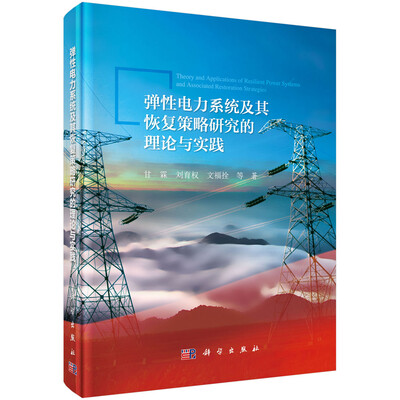 

弹性电力系统及其恢复策略研究的理论与实践
