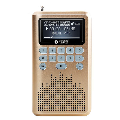 

See me here LV290 metal portable card loudspeaker big screen night view of the elderly radio mini mini sound champagne gold